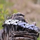 Mens Titanium Bracelets