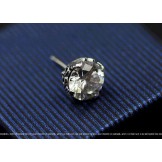 Beautiful Pure Titanium Earrings