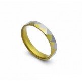 4mm Titanium Gold & Silver Ring