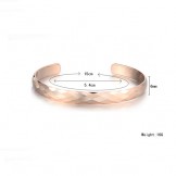 Tungsten Rose Gold High Polish Bangle C895
