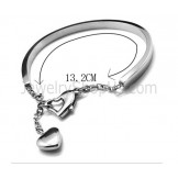 Tatanium Bangle Adjustable (Black, Silver, Rose Gold) BG810