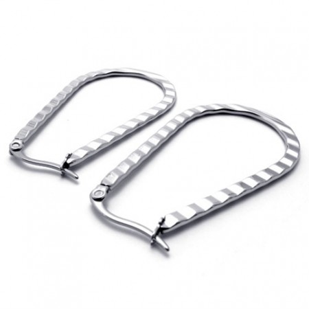 U-Drop Titanium Earrings 20574