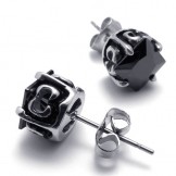 Diamond Titanium Earrings 20259