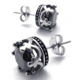 Diamond Titanium Earrings 20256