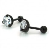 Sophisticated Technology Color Brilliancy Stable Quality Titanium Earrings