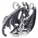 Modern Design Color Brilliancy Durable in Use Titanium Pendant