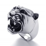 Skillful Manufacture Color Brilliancy Superior Quality Titanium Ring