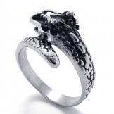 Modern Design Delicate Colors Stable Quality Titanium Ring