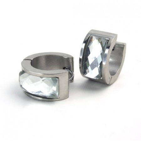 Luxuriant in Design Color Brilliancy Stable Quality Titanium Earrings