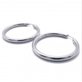 Deft Design Color Brilliancy Stable Quality Titanium Earrings