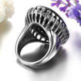 Complete in Specifications Exaggerate Quartzite Titanium Ring