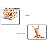 Quality and Quantity Assured Titanium Necklace 