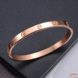 Wide Varieties Female Screw Titanium Bangle 