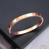 Quality and Quantity Assured Female Screw Titanium Bangle 