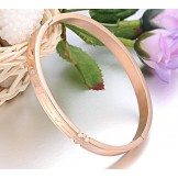 Complete in Specifications Titanium Bangle For Lovers 