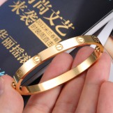Easy to Use Female Titanium Bangle 