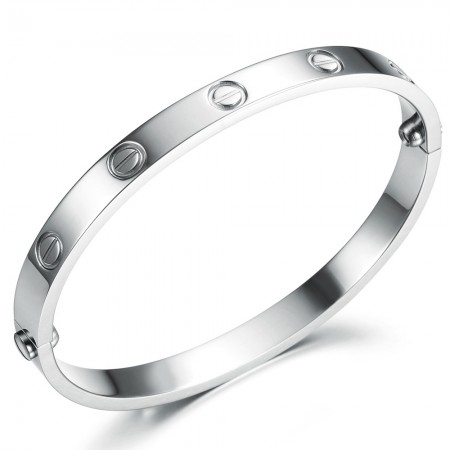 Excellent Quality Female Classic Titanium Bangle 