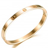 The Queen of Quality Female Titanium Bangle 