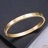 The Queen of Quality Female Titanium Bangle 