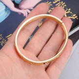 The Queen of Quality Female Titanium Bangle 