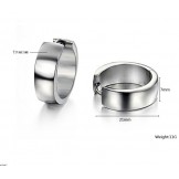 Complete in Specifications Female Titanium Earrings  