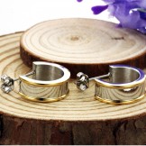 Excellent Quality Titanium Earrings 