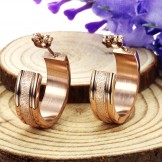 Quality and Quantity Assured Female Scrub Titanium Earrings 