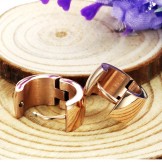 High Quality Female Titanium Earrings 