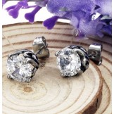 Complete in Specifications Unisex Titanium Earrings 