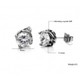 Complete in Specifications Unisex Titanium Earrings 