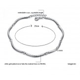 Excellent Quality Female Roll Type Platinum Plating Titanium Anklet 