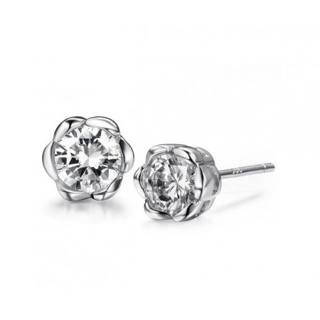 High Quality Female Allergy Free Platinum Plating Titanium Earrings 