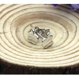 Easy to Use Female Apple Shape Platinum Plating Titanium Earrings 