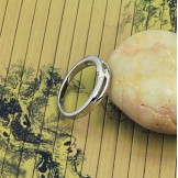 Quality and Quantity Assured Platinum Plating Titanium Ring For Lovers 