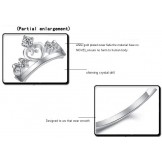 World-wide Renown Platinum Plating Titanium Ring With Rhinestone