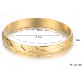 Wide Varieties Female 18K Gold-Plated Bangle 