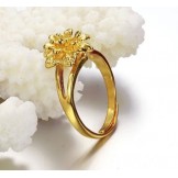 Wide Varieties Female Classic 18K Gold-Plated Ring 